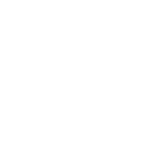 Record RO